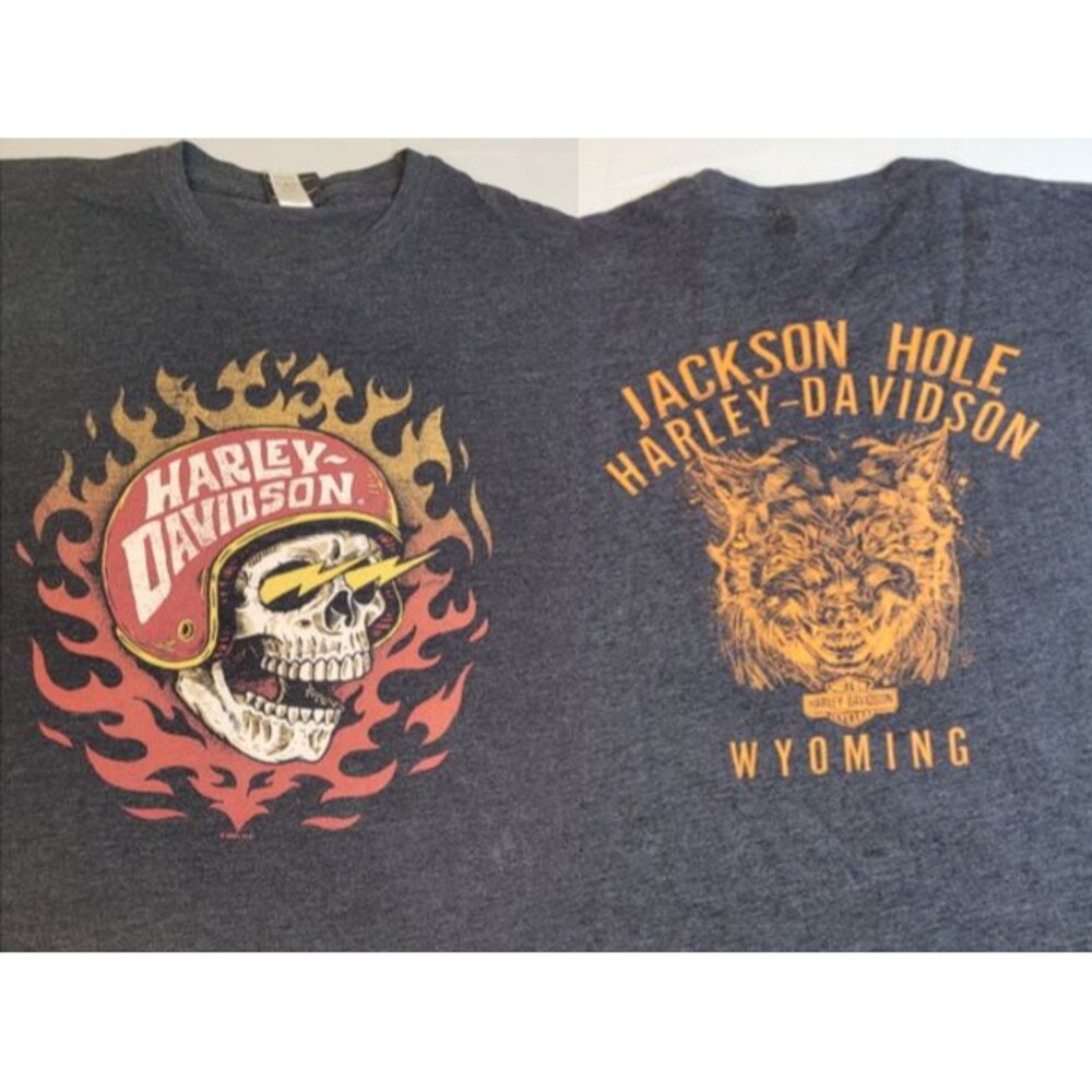 Jackson Hole Harley Davidson Large - Wolf graphic - Skull Flames Dark Gray